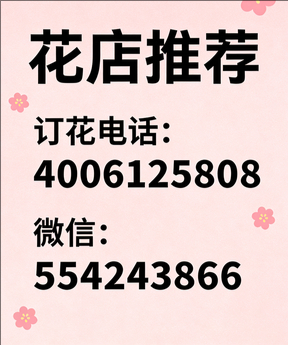 巢湖居巢区花店哪家好